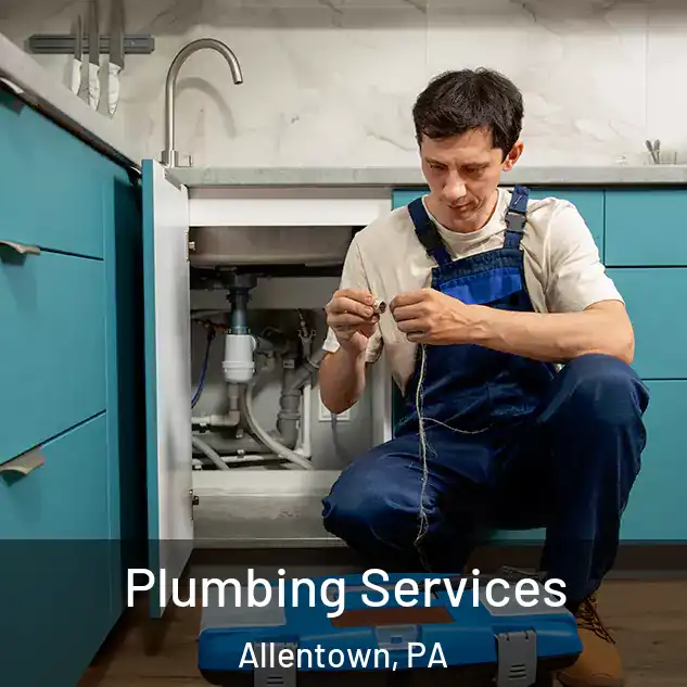  Plumbing Services Allentown, PA